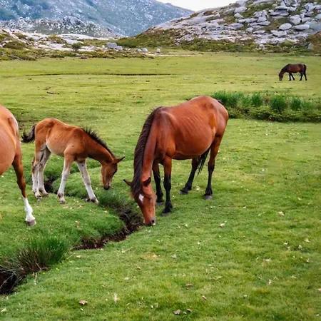 فندق Domaine Le Mouflon D'or 5*