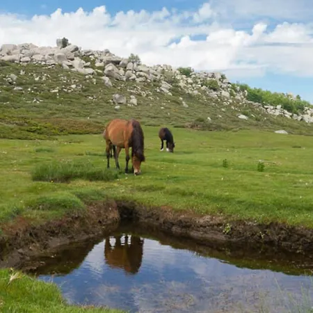 فندق Domaine Le Mouflon D'or زونزا