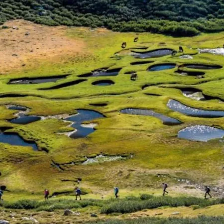 فندق Domaine Le Mouflon D'or