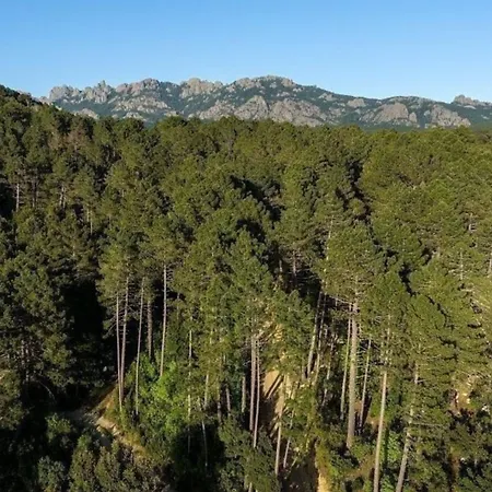 فندق Domaine Le Mouflon D'or زونزا