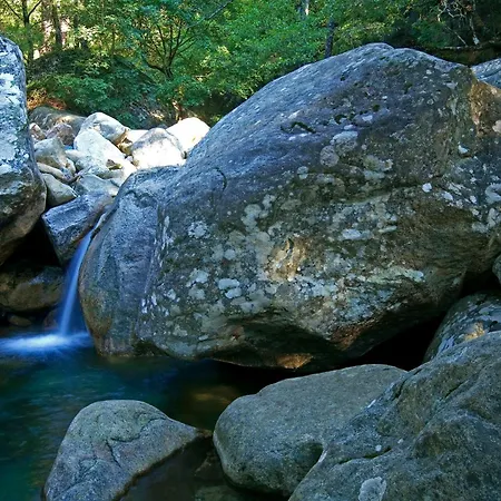 فندق Domaine Le Mouflon D'or زونزا