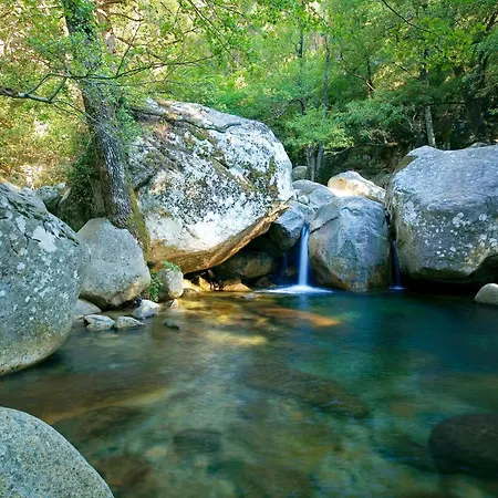 Domaine Le Mouflon D'or 5* Zonza