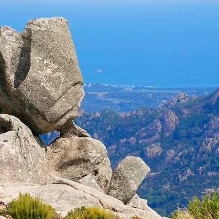 Domaine Le Mouflon D'or