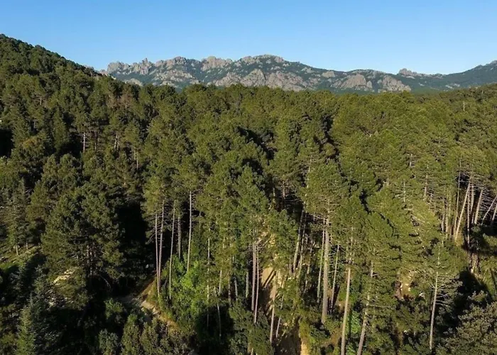 Hotel Domaine Le Mouflon D'or Zonza