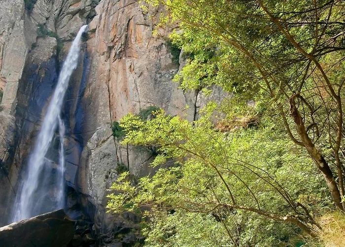 Domaine Le Mouflon D'or