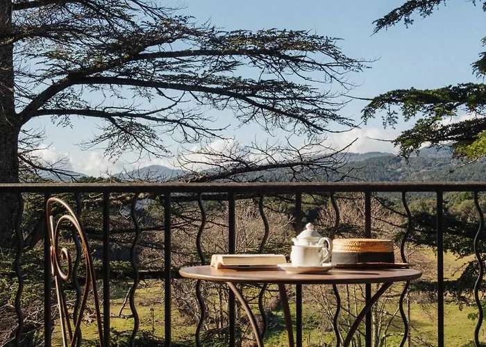 Domaine Le Mouflon D'or