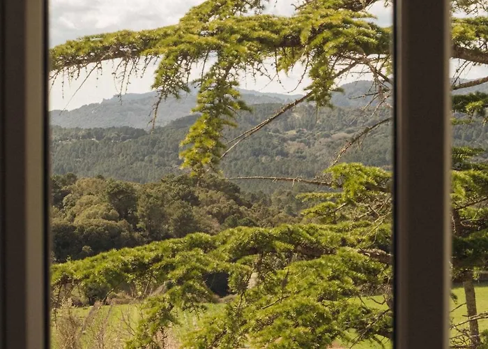 Domaine Le Mouflon D'or Hotel Zonza