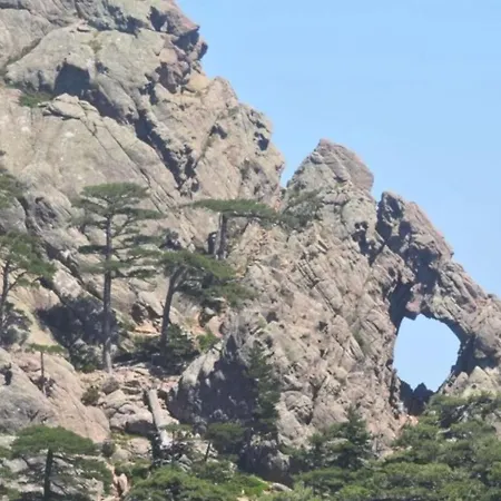 Domaine Le Mouflon D'or 5*