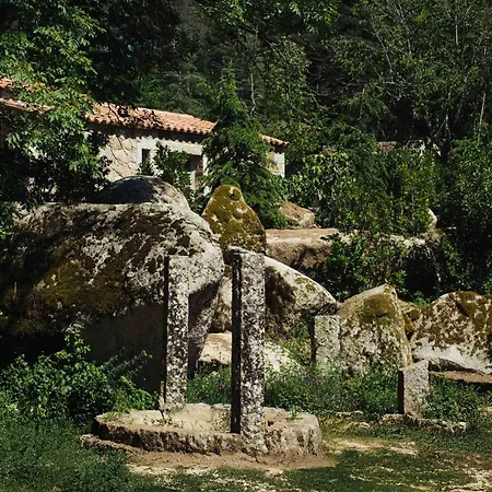 Domaine Le Mouflon D'or 5*