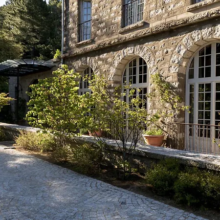 Domaine Le Mouflon D'or 5* 종자