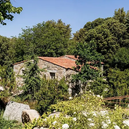 Domaine Le Mouflon D'or 종자