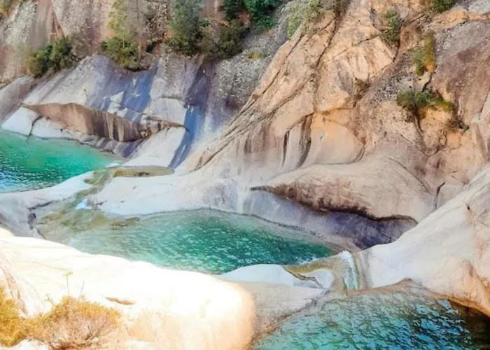 Domaine Le Mouflon D'or Zonza