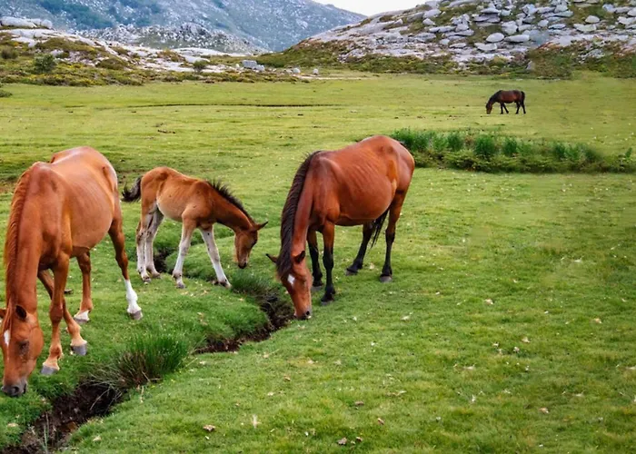 Hotel Domaine Le Mouflon D'or 5*