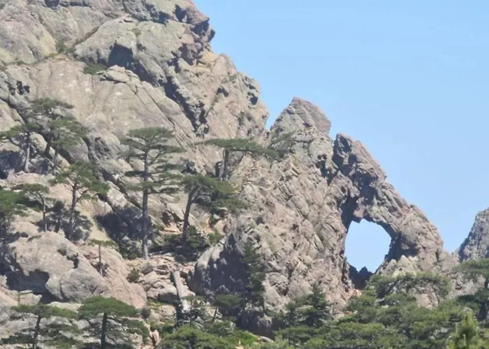 Domaine Le Mouflon D'or 5*