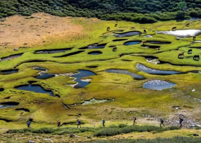 Otel Domaine Le Mouflon D'or