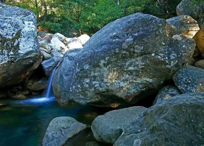 Hotel Domaine Le Mouflon D'or Zonza