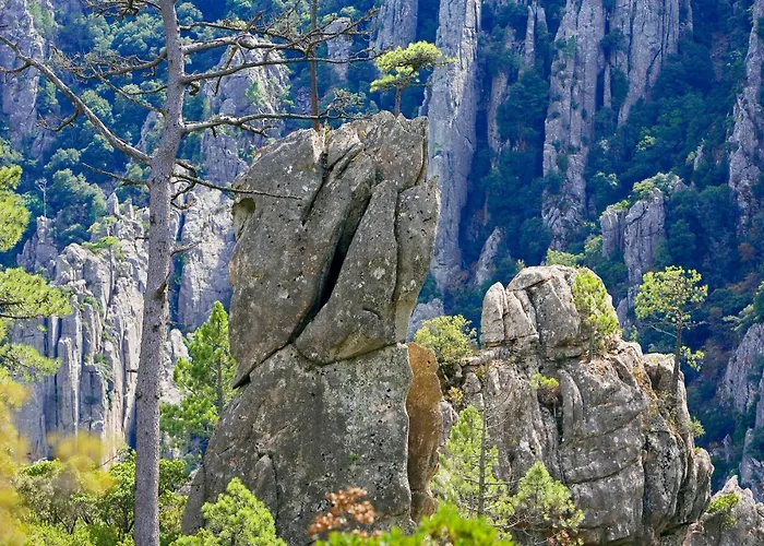 Otel Domaine Le Mouflon D'or 5*