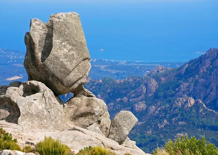 Domaine Le Mouflon D'or