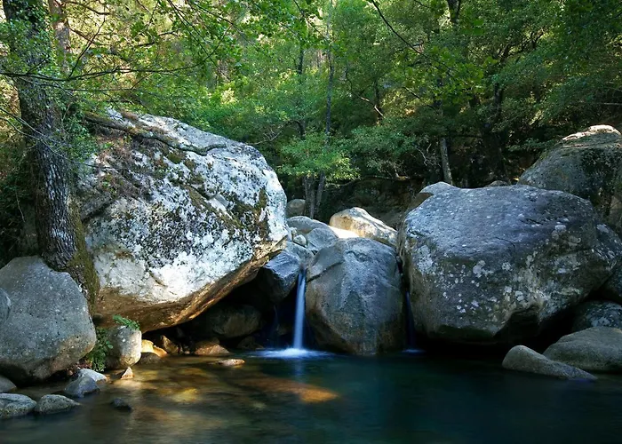Domaine Le Mouflon D'or Hotel 5*